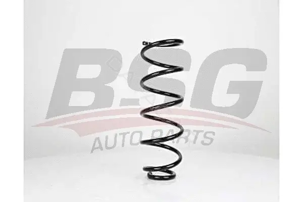 Пружины BSG BSG90-305-008