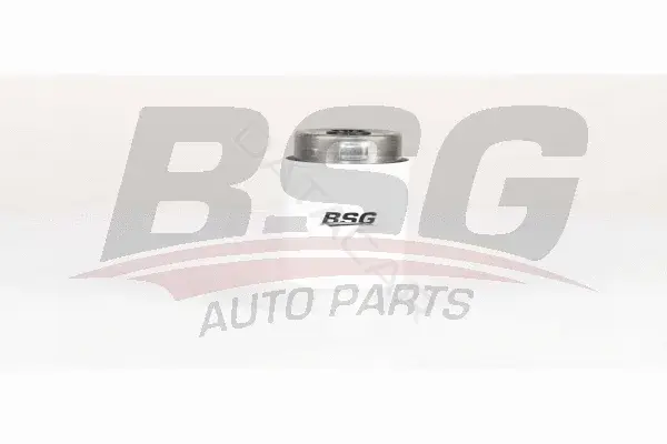 Топливный фильтр BSG BSG15-130-009