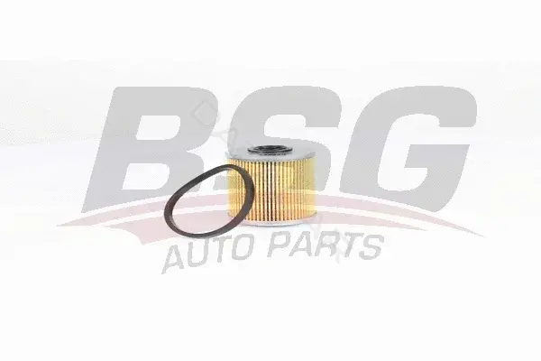 Топливный фильтр BSG BSG75-130-011