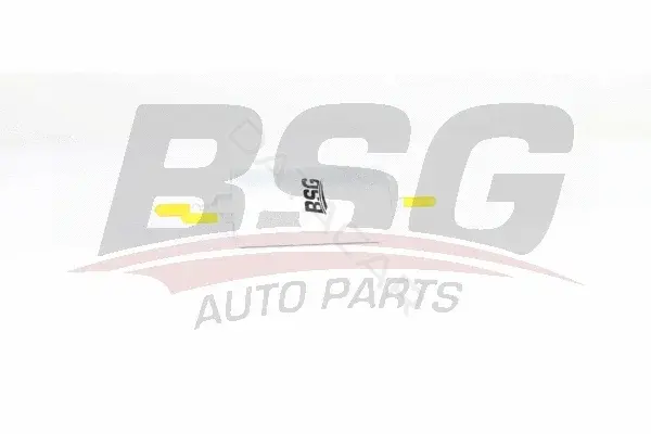 Топливный фильтр BSG BSG90-130-017