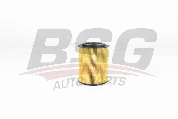 Масляный фильтр BSG BSG30-140-010