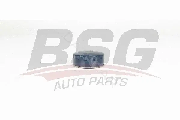 Масляный фильтр BSG BSG75-140-005