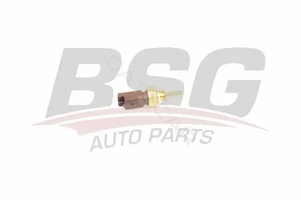 Датчик температуры охлаждающей жидкости BSG BSG25-840-011