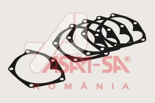 Прокладкa помпы ASAM 32221