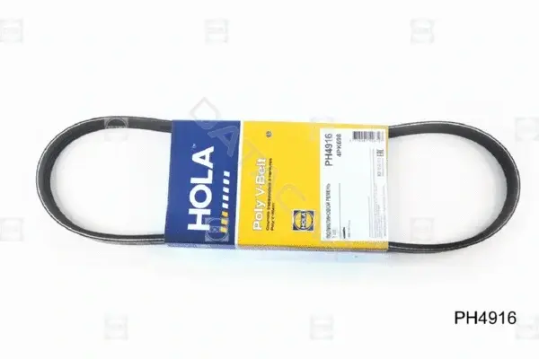 Ремень ручейковый HOLA PH4916