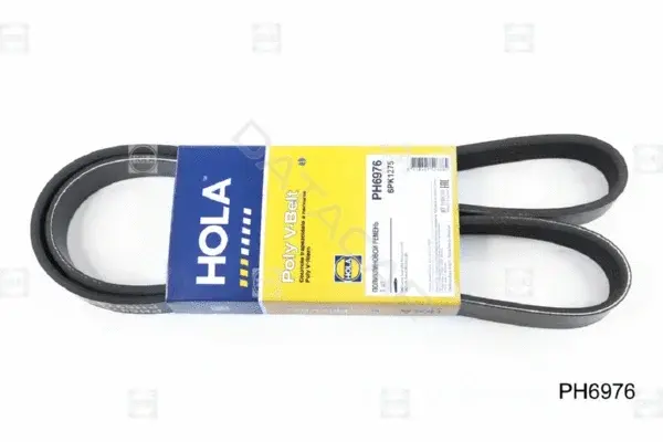 Ремень ручейковый HOLA PH6976