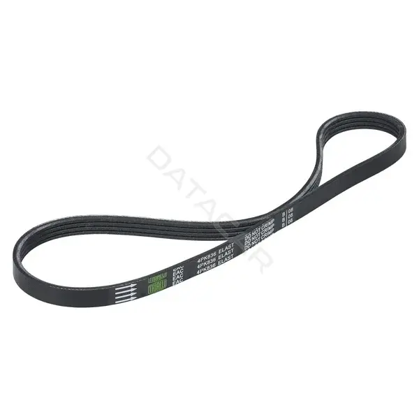 Ремень ручейковый TRIALLI 4PK836E