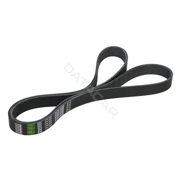 Ремень ручейковый TRIALLI 7PK1605