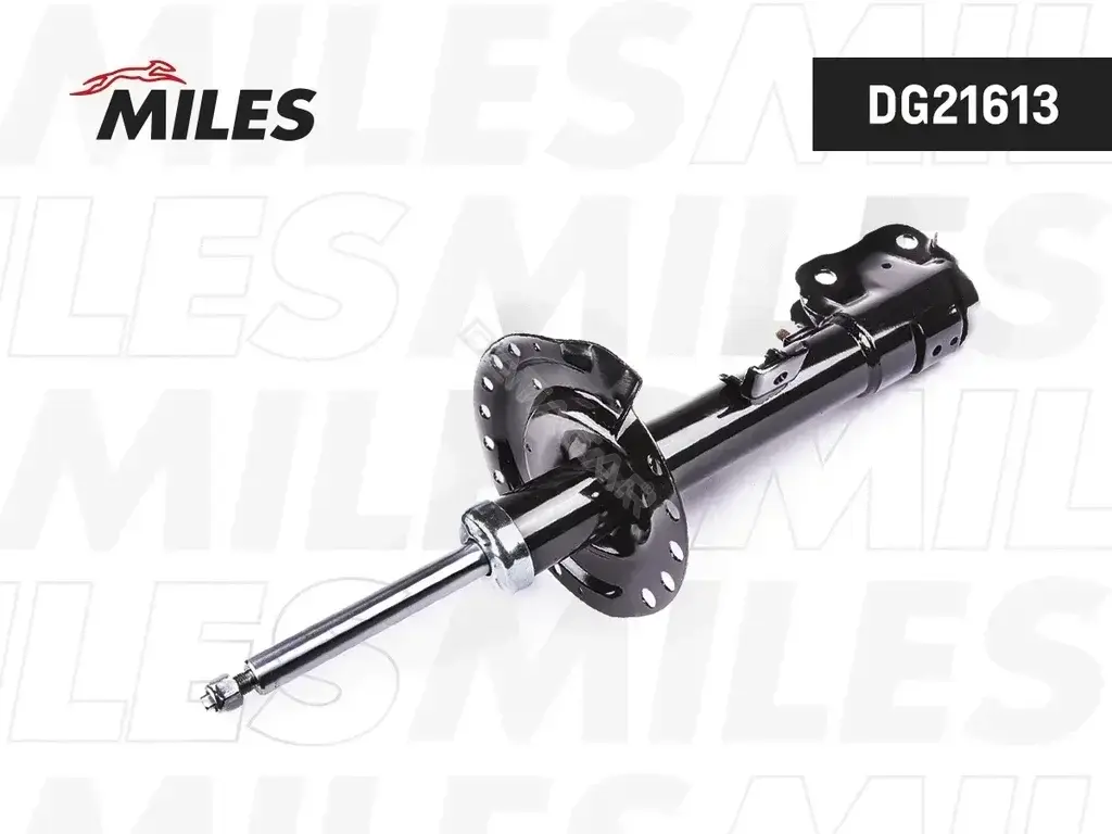 Амортизаторы MILES DG21613