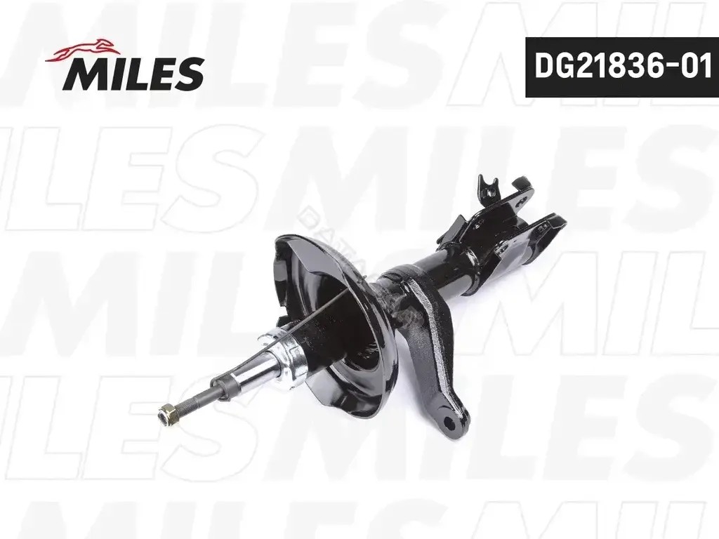 Амортизаторы MILES DG21836-01