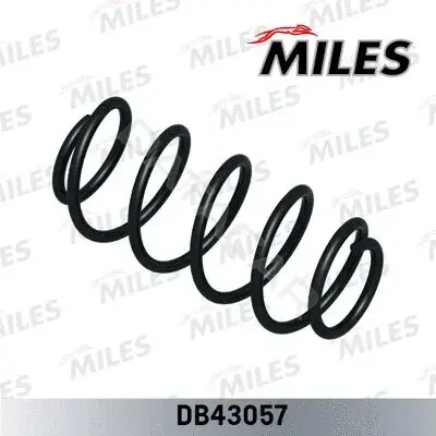 Пружины MILES DB43057