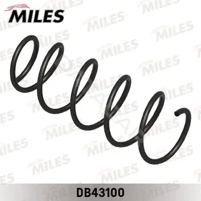 Пружины MILES DB43100