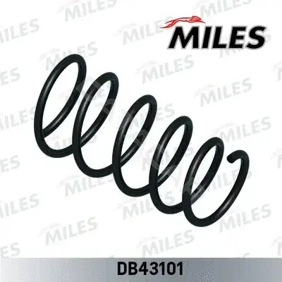 Пружины MILES DB43101
