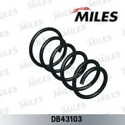 Пружины MILES DB43103
