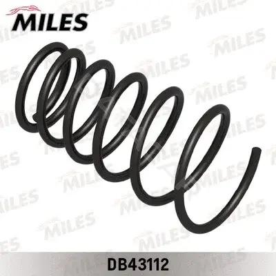 Пружины MILES DB43112