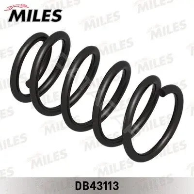 Пружины MILES DB43113