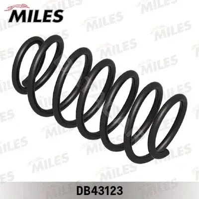 Пружины MILES DB43123