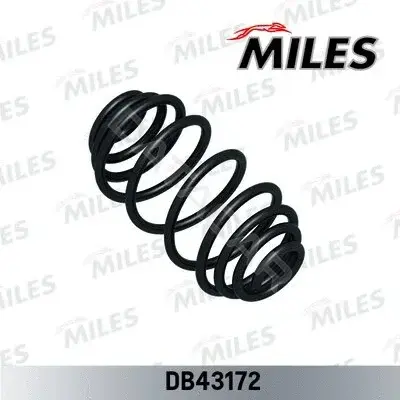 Пружины MILES DB43172