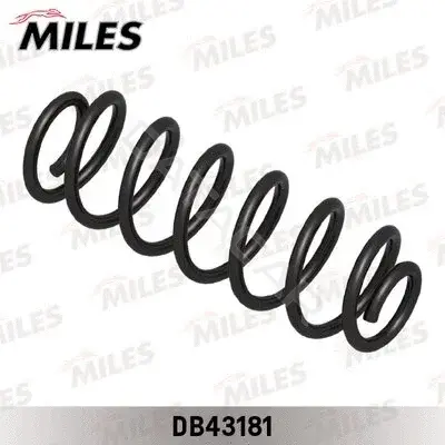 Пружины MILES DB43181