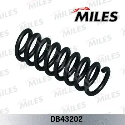 Пружины MILES DB43202