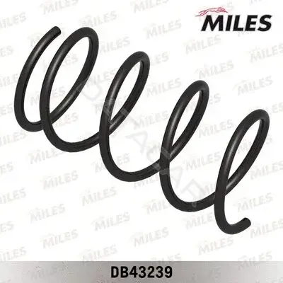 Пружины MILES DB43239