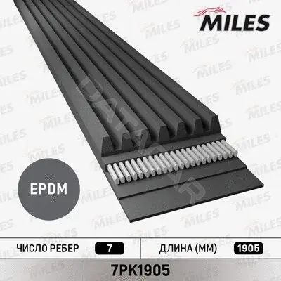 Ремень ручейковый MILES 7PK1905