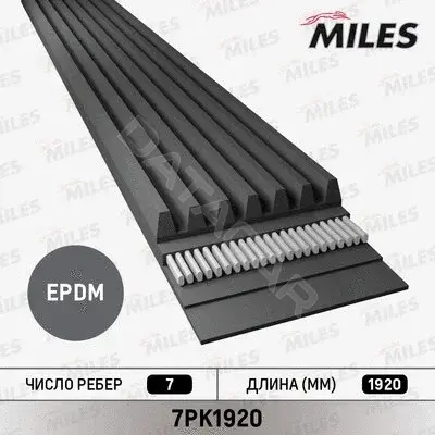 Ремень ручейковый MILES 7PK1920