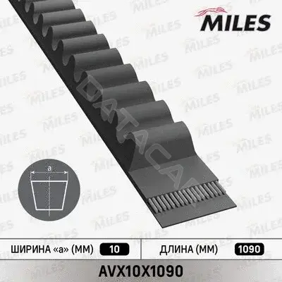 Ремень клиновой MILES AVX10X1090