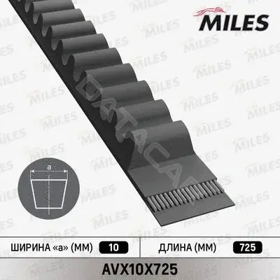 Ремень клиновой MILES AVX10X725