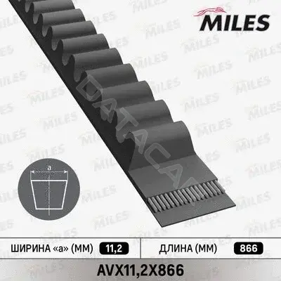 Ремень клиновой MILES AVX11,2X866