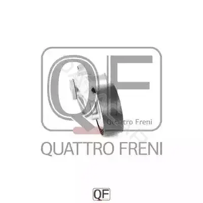 Натяжитель ремня генератора QUATTRO FRENI QF33A00035