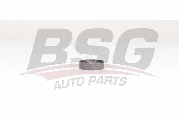Натяжной ролик ГРМ BSG BSG75-615-001