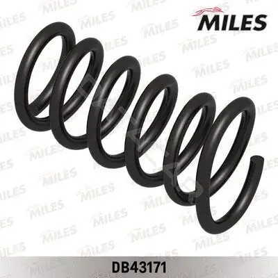 Пружины MILES DB43171