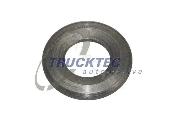 Шайба пламягасящая TRUCKTEC 02.10.070