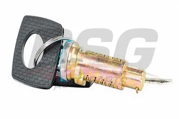 Личинка замка двери BSG BSG60-856-001