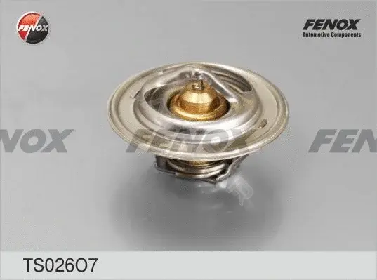 Термостат FENOX TS026O7