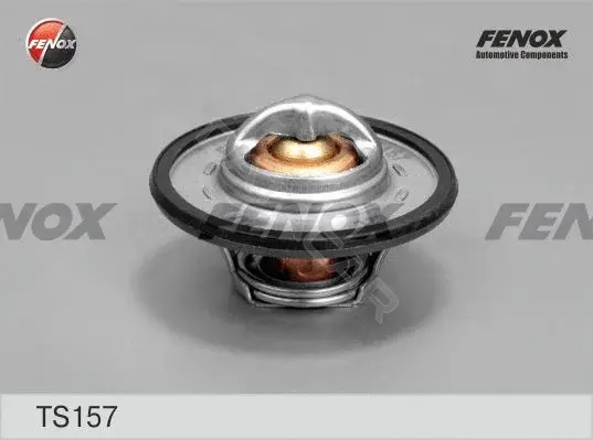Термостат FENOX TS157