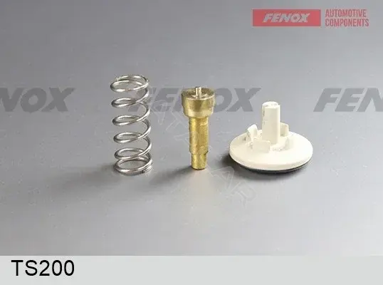 Термостат FENOX TS200