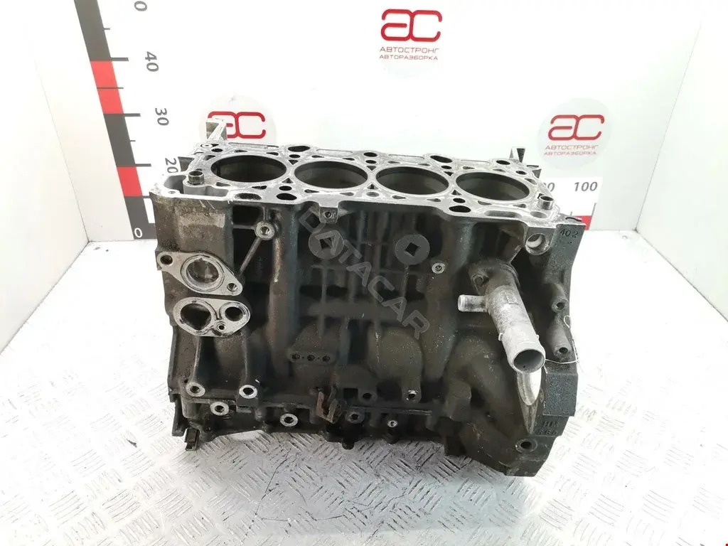 Блок цилиндров 10002RBDE01