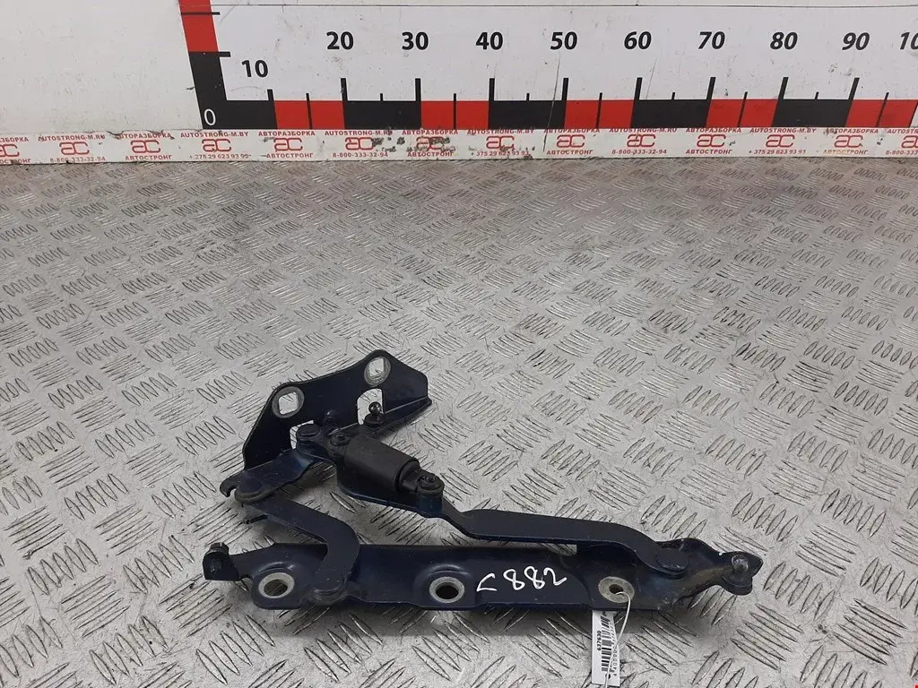 Петля крышки багажника C2Z18289