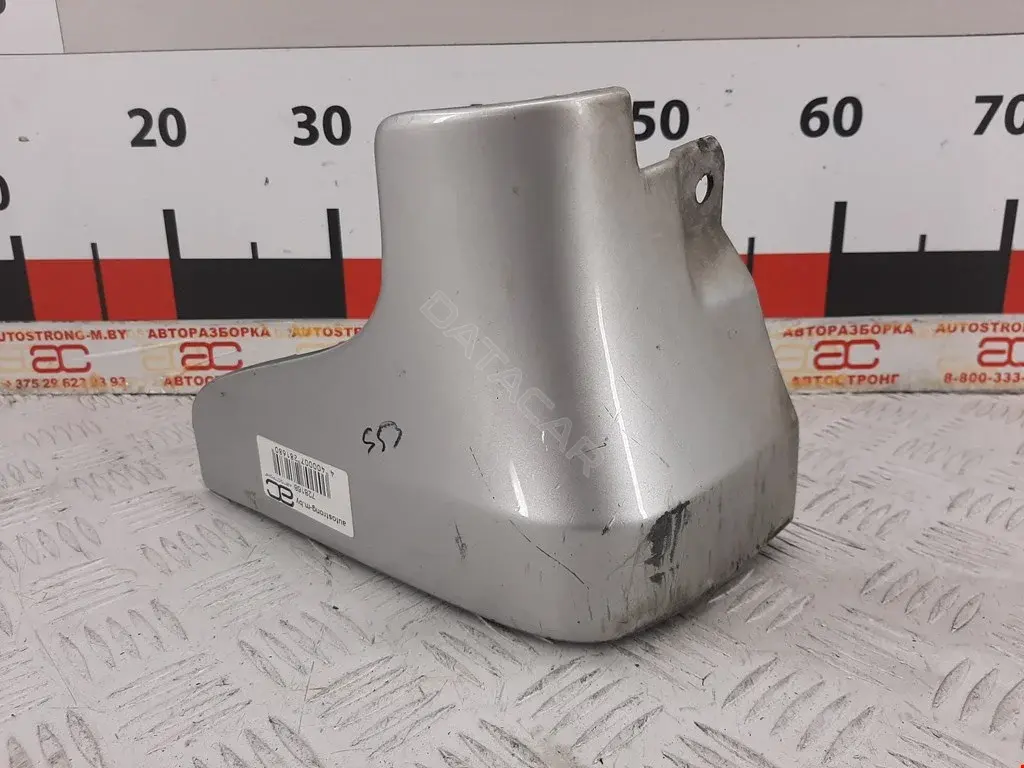 Накладка на порог 3855AC8XX, DS99068, F3855-EG005