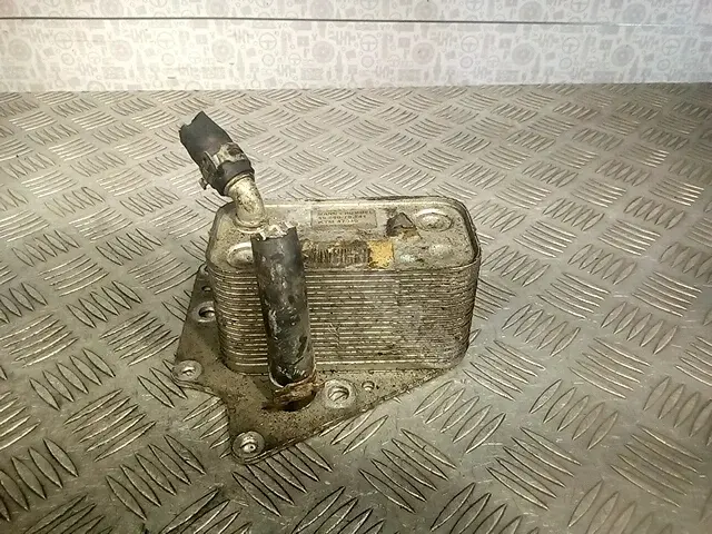 Масляный радиатор двигателя 5989070241