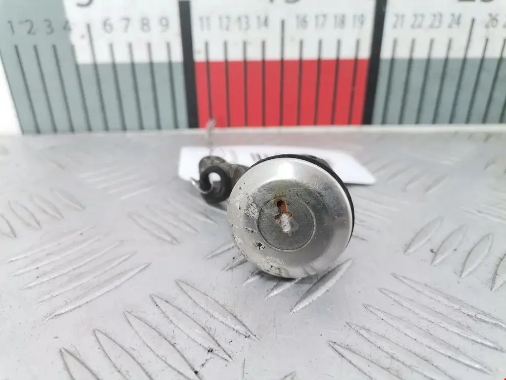 Личинка замка двери 9118337