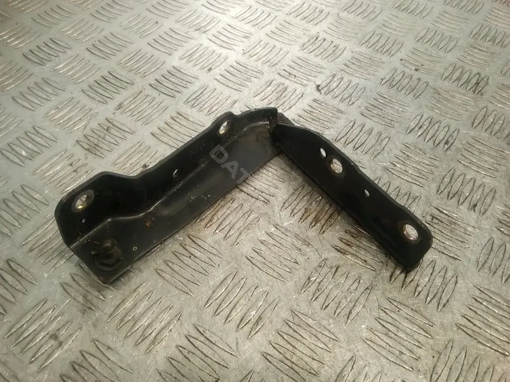 Петля капота 6181008D00
