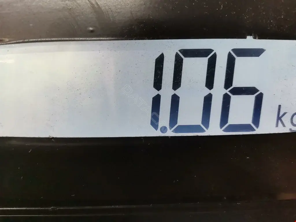 Масляный насос 09578, 1119219, 1149127