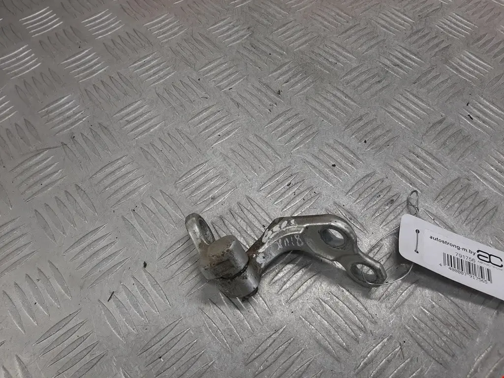 Петля двери 3M51R26800