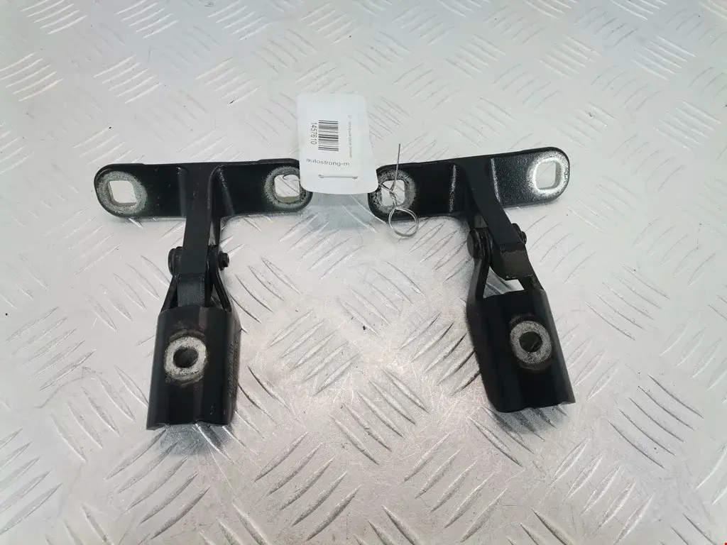 Петля крышки багажника 41627170921