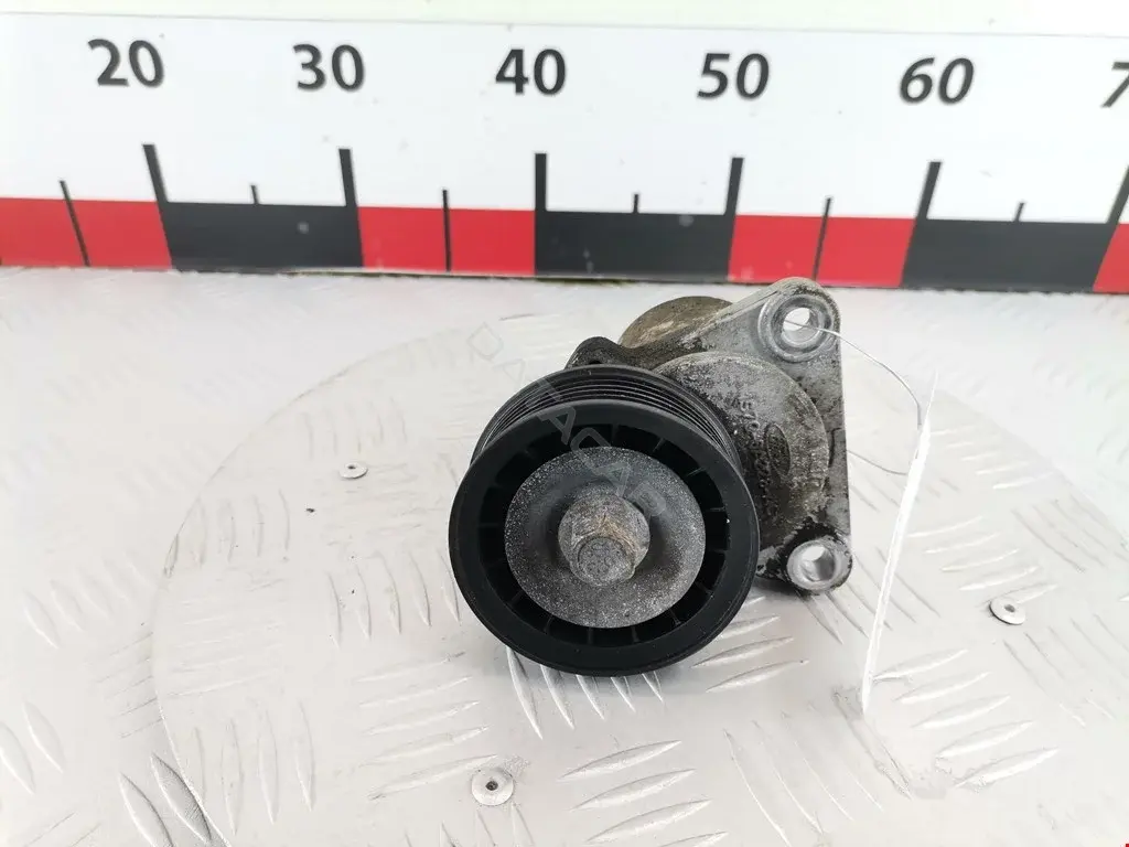 Натяжитель ремня генератора 0340873SX, 06659, 0N1497