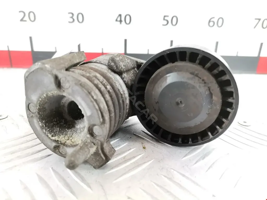 Натяжитель ремня генератора 0790, 0N1554S, 1374427