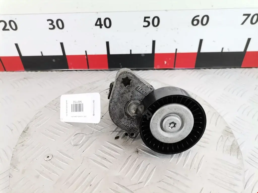 Натяжитель ремня генератора 0011018435, 0219186, 0340732SX